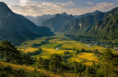 Chứng chỉ hành nghề xây dựng Điện Biên: nộp ở đâu và nên hỏi trước