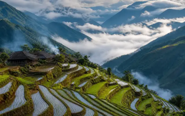 Chứng chỉ hành nghề xây dựng Lai Châu: vì sao Sở chưa nhận hồ sơ